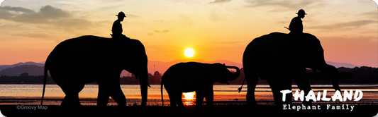 Elephant Family (20pcs/pack)