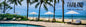 Life is a Beach (20pcs/pack)