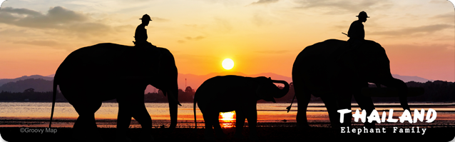 Elephant Family (20pcs/pack)